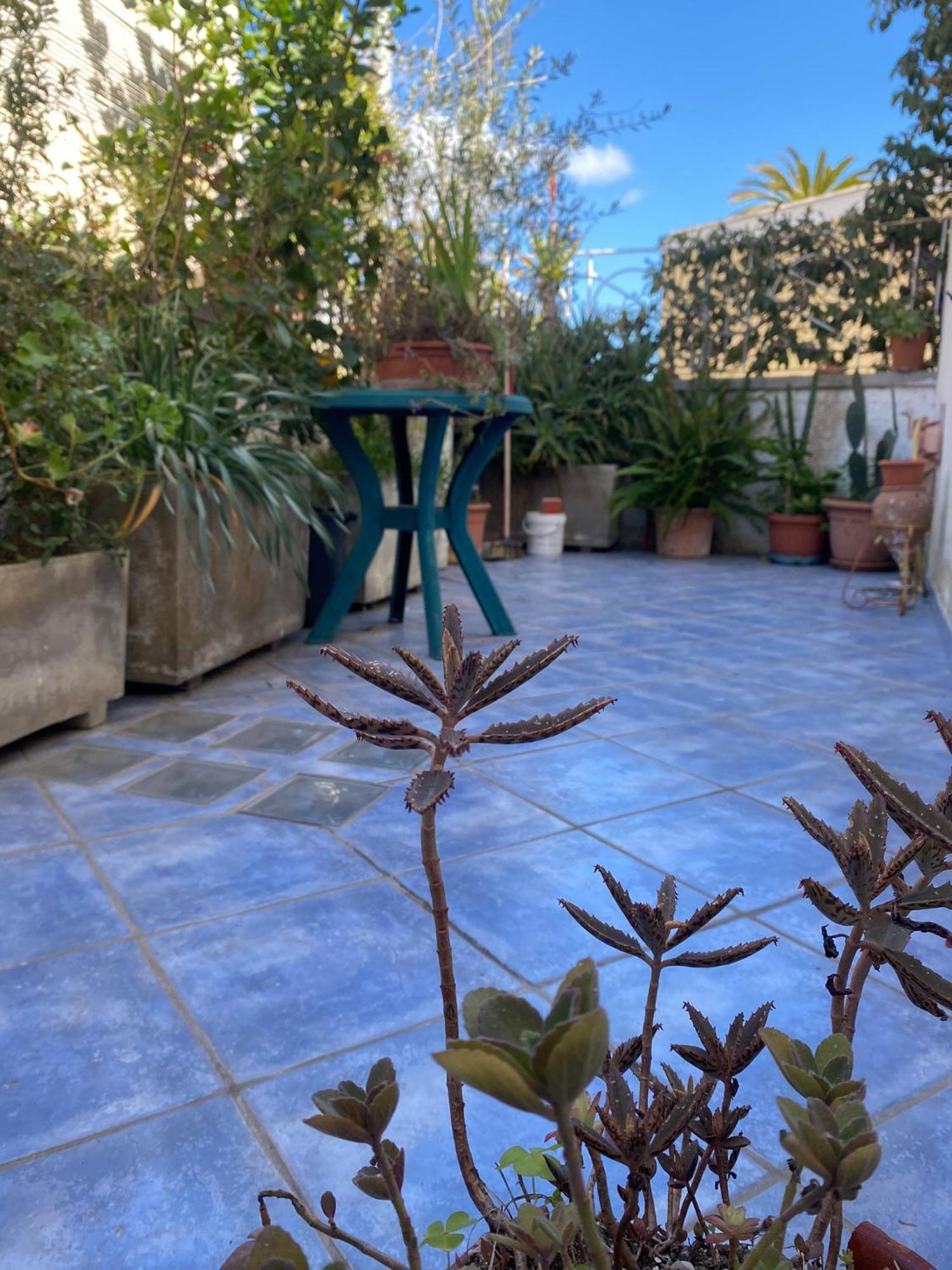 Casa Vacanza Maronti Barano dʼIschia Buitenkant foto